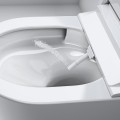 Унитаз Grohe Rapid SLX каркасный с унитазом Sensia + функция биде с крышкой Soft Close 36509SH0