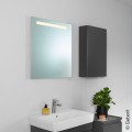 Vannas istabas spogulis GEBERIT Option spogulis ar LED apgaismojumu 60x70cm, alumīnijs 502.805.00.1
