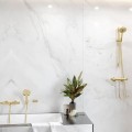 Душевая трубка  Hansgrohe Raindance Select S 120 EcoSm.HS PGO 26531990 Polished Gold Optic