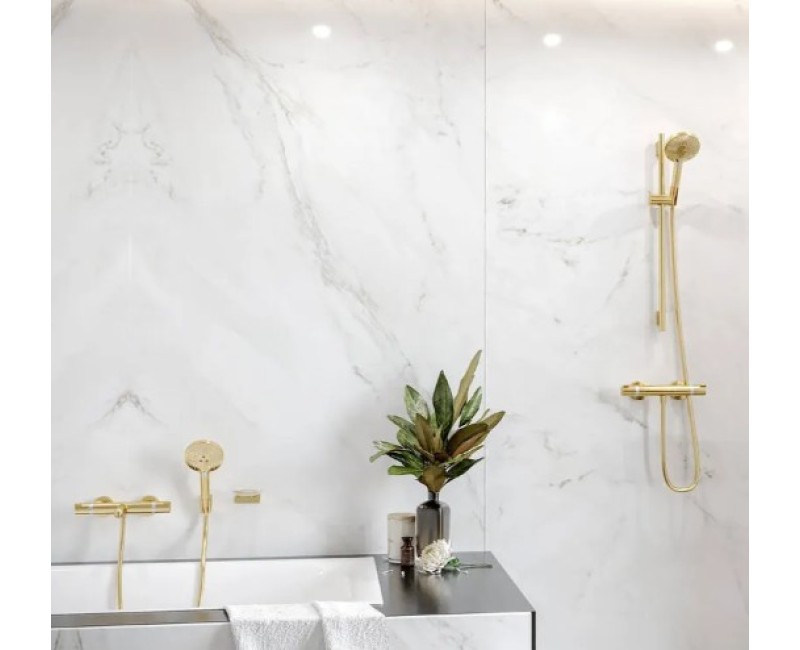 Душевая трубка  Hansgrohe Raindance Select S 120 EcoSm.HS PGO 26531990 Polished Gold Optic
