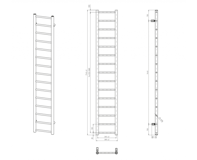 Полотенцесушитель / Радиатор Sapho Dina 174x30 см, белый IR366W
