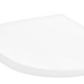 Tualeto dangtis Hansgrohe EluPura Original S su SoftClose ir QuickRelease 60148450 baltas