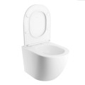 Унитаз подвесной Omnires OTTAWA SILENT POWER™ Rimfree с крышкой Soft Close, белый матовый