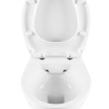 Подвесной унитаз Sanindusa Cetus 52 Rimfree с крышкой, Белый