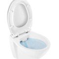 Tualetes poda komplekts Geberit Duofix  ar Sanindusa Cetus 52 Rimfree podu, Soft Close easyclip vāks, Hromētu matēta poga Delta01