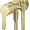 Смеситель для биде Denate Arnika с Bidetta Brushed Gold BQA_R34M