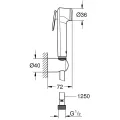 Bidetta klausule Grohe Vitalio Trigger Spray, ar turētāju un šļūteni, hroms, 26175001 NEW