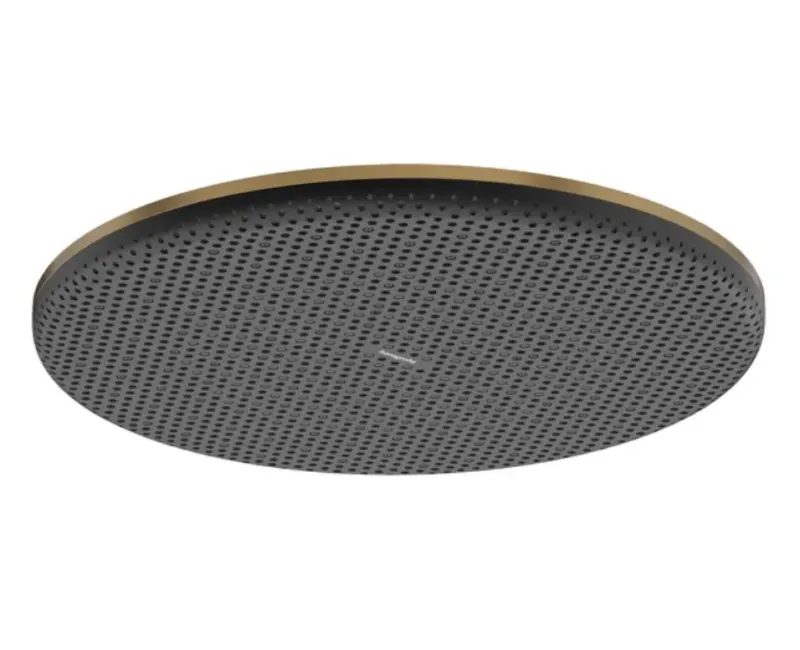 Dušas galva Hansgrohe Raindance Alive S, diametrs 30 cm, matēta bronza, 24520140 NEW