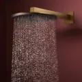Dušas galva Hansgrohe Raindance Alive S, diametrs 30 cm, matēta bronza, 24520140 NEW