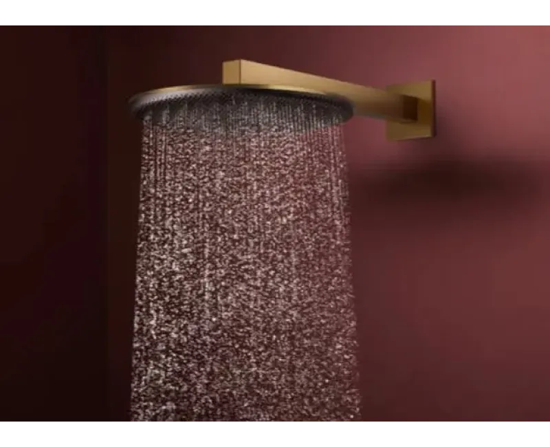 Dušas galva Hansgrohe Raindance Alive S, diametrs 30 cm, matēta bronza, 24520140 NEW