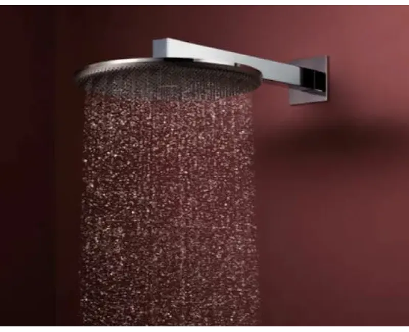 Dušas galva Hansgrohe Raindance Alive S, diametrs 30 cm, EcoSmart, hroms, 24521000 NEW