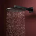 Dušas galva Hansgrohe Raindance Alive S, diametrs 30 cm, EcoSmart, matēta melna, 24521670 NEW