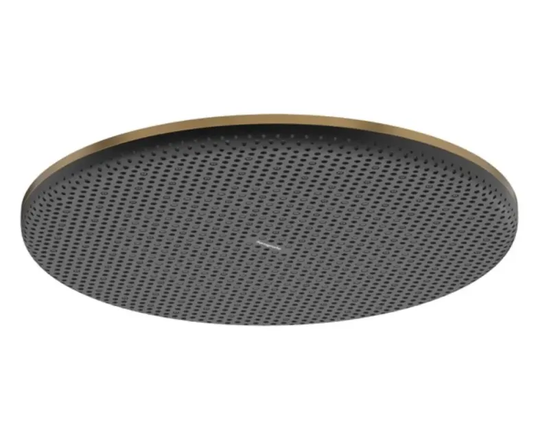Dušas galva Hansgrohe Raindance Alive S, diametrs 30 cm, EcoSmart+, matēta bronza, 24523140 NEW
