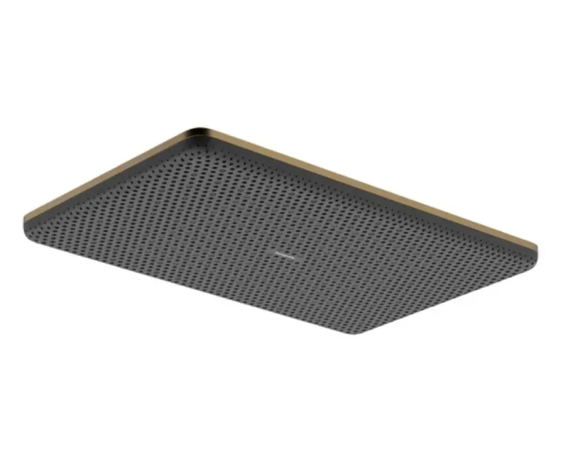 Dušas galva Hansgrohe Raindance Alive Q, 21x34 cm, 2 režīmi, matēta bronza, 24530140 NEW