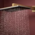 Dušas galva Hansgrohe Raindance Alive Q, 21x34 cm, 2 režīmi, matēta bronza, 24530140 NEW