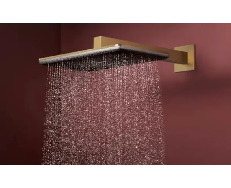 Dušas galva Hansgrohe Raindance Alive Q, 21x34 cm, 2 režīmi, matēta bronza, 24530140 NEW
