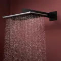 Dušas galva Hansgrohe Raindance Alive Q, 21x34 cm, matēta melna, 24530670 NEW