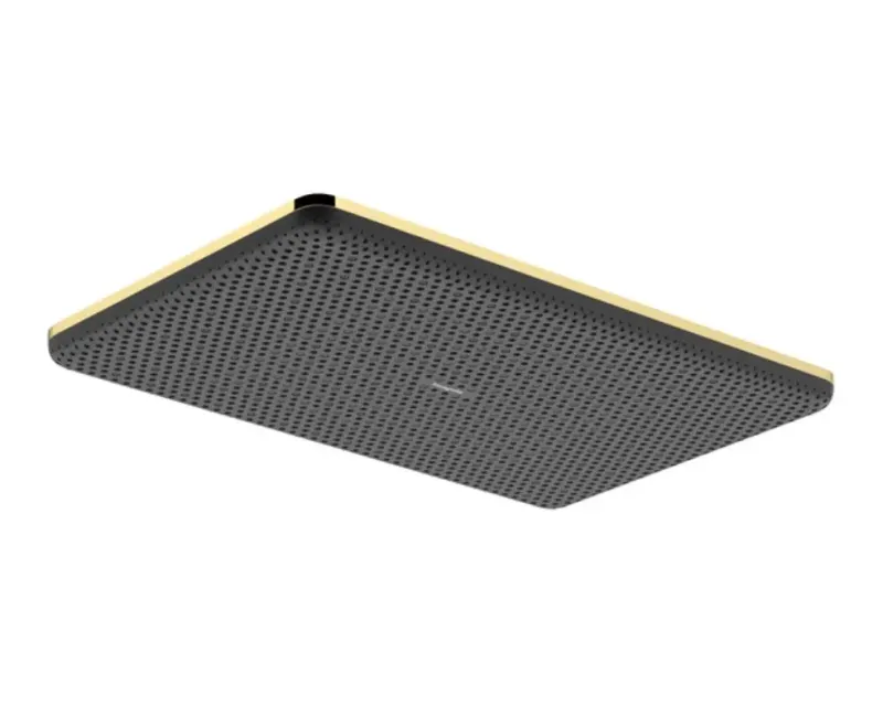 Dušas galva Hansgrohe Raindance Alive Q, 21x34 cm, pulēts zelts, 24530990 NEW