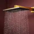 Dušas galva Hansgrohe Raindance Alive Q, 21x34 cm, pulēts zelts, 24530990 NEW