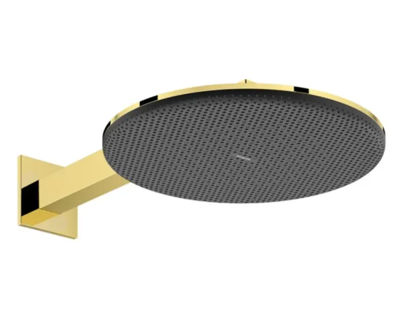 Душевая голова Hansgrohe Raindance Alive S, диаметр 30 см, 2 режима, полированный золото, 24540990