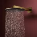 Душевая голова Hansgrohe Raindance Alive S, диаметр 30 см, 2 режима, полированный золото, 24540990