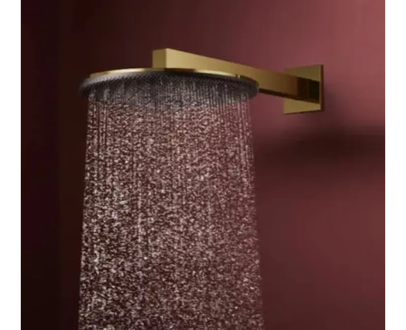 Душевая голова Hansgrohe Raindance Alive S, диаметр 30 см, 2 режима, полированный золото, 24540990