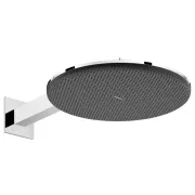 HANSGROHE (Vācija) Dušas galva Hansgrohe Raindance
