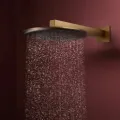 Dušas galva Hansgrohe Raindance Alive S, diametrs 30 cm, 2 režīmi, EcoSmart, matēta bronza, 24541140 NEW