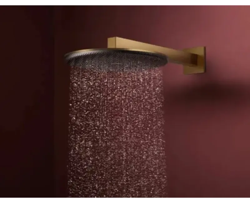 Dušas galva Hansgrohe Raindance Alive S, diametrs 30 cm, 2 režīmi, EcoSmart, matēta bronza, 24541140 NEW