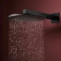 Душевая голова Hansgrohe Raindance Alive S, диаметр 30 см, 2 режима, EcoSmart, матовая черная, 24541670