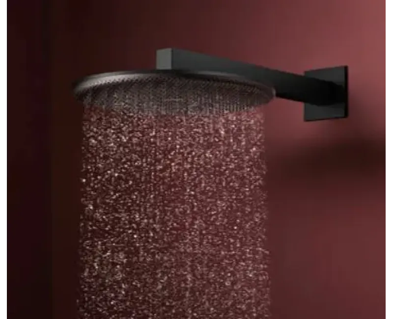 Душевая голова Hansgrohe Raindance Alive S, диаметр 30 см, 2 режима, EcoSmart, матовая черная, 24541670