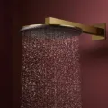 Dušas galva Hansgrohe Raindance Alive S, diametrs 30 cm, 2 režīmi, EcoSmart, pulēts zelts, 24541990 NEW