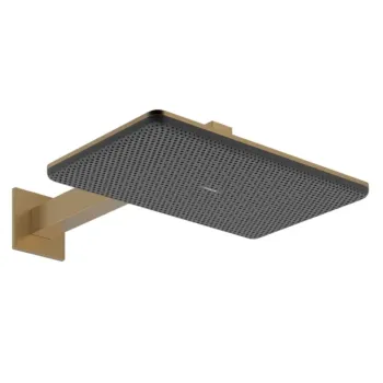 Dušas galva Hansgrohe Raindance Alive Q, 21x34 cm, 2 režīmi, matēta bronza, 24550140 NEW