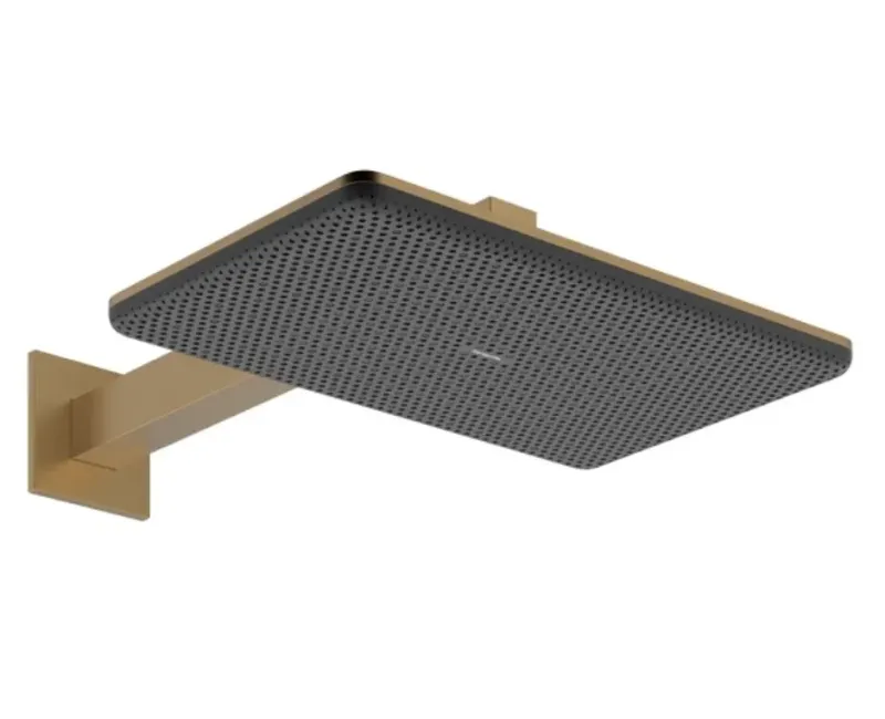 Душевая голова Hansgrohe Raindance Alive Q, 21x34 см, 2 режима, матовая бронза, 24550140