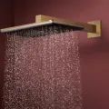 Душевая голова Hansgrohe Raindance Alive Q, 21x34 см, 2 режима, матовая бронза, 24550140