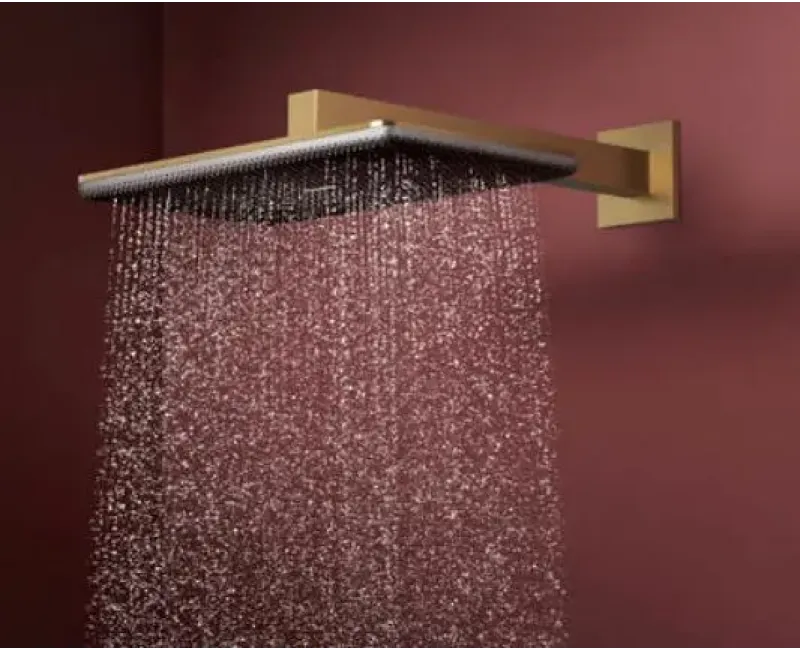 Душевая голова Hansgrohe Raindance Alive Q, 21x34 см, 2 режима, матовая бронза, 24550140