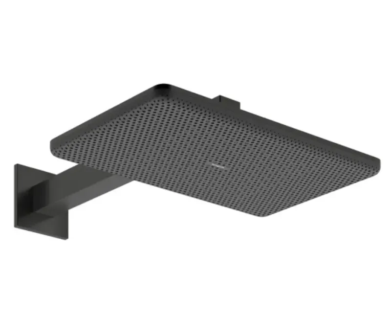 Душевая голова Hansgrohe Raindance Alive Q, 21x34 см, 2 режима, матовый черный хром, 24550340