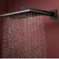 Душевая голова Hansgrohe Raindance Alive Q, 21x34 см, 2 режима, матовый черный хром, 24550340