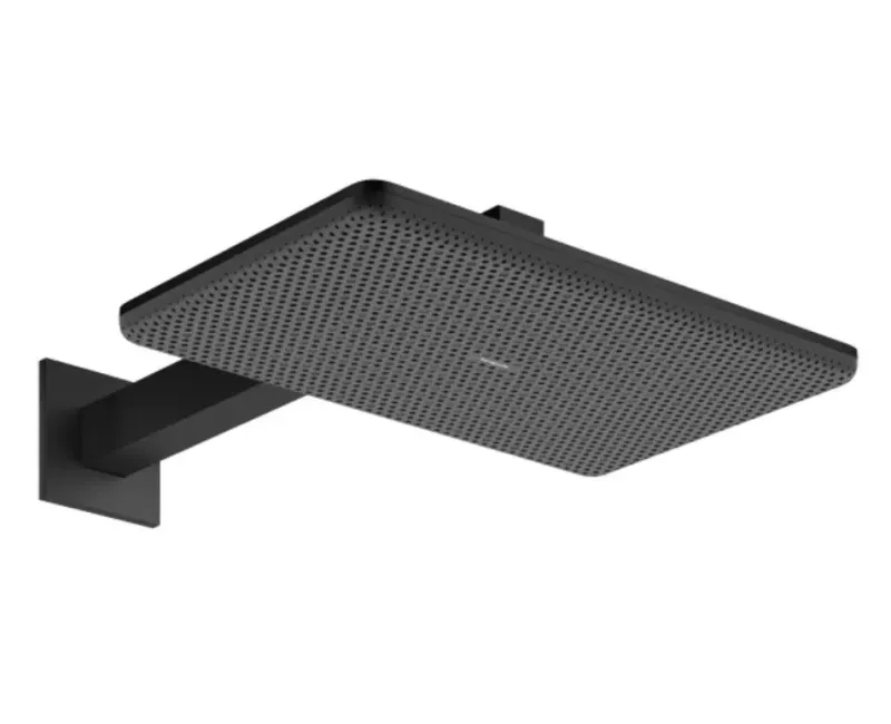 Душевая голова Hansgrohe Raindance Alive Q, 21x34 см, 2 режима, матовая черная, 24550670