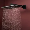 Душевая голова Hansgrohe Raindance Alive Q, 21x34 см, 2 режима, матовая черная, 24550670