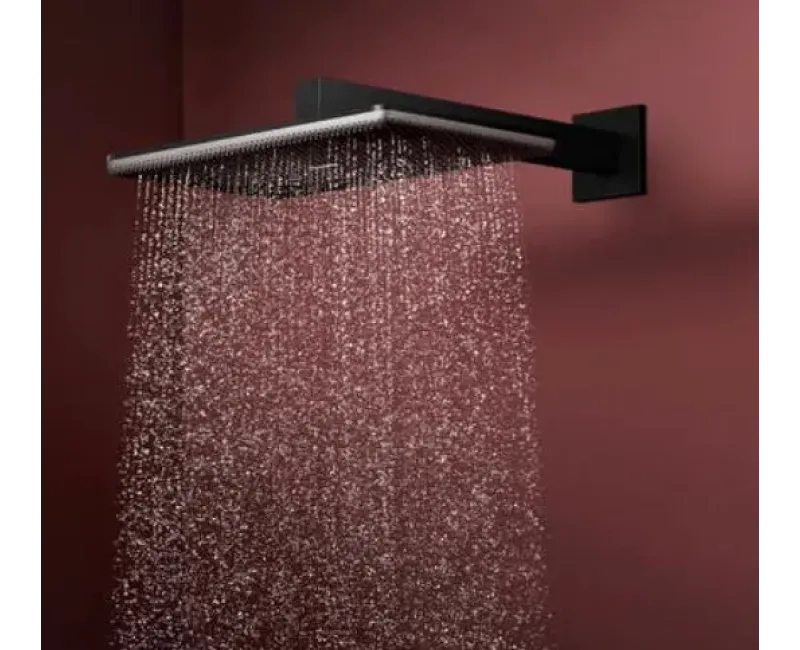 Душевая голова Hansgrohe Raindance Alive Q, 21x34 см, 2 режима, матовая черная, 24550670