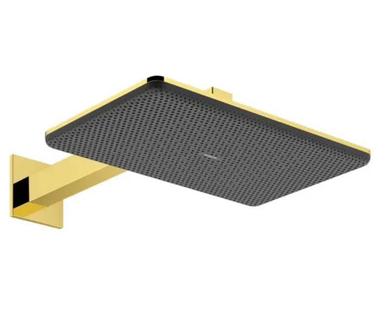 Душевая голова Hansgrohe Raindance Alive Q, 21x34 см, 2 режима, полированный золото, 24550990
