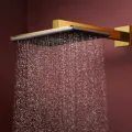 Душевая голова Hansgrohe Raindance Alive Q, 21x34 см, 2 режима, полированный золото, 24550990