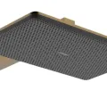 Dušas galva Hansgrohe Raindance Alive Q, 21x34 cm, 2 režīmi, EcoSmart, matēta bronza, 24551140 NEW