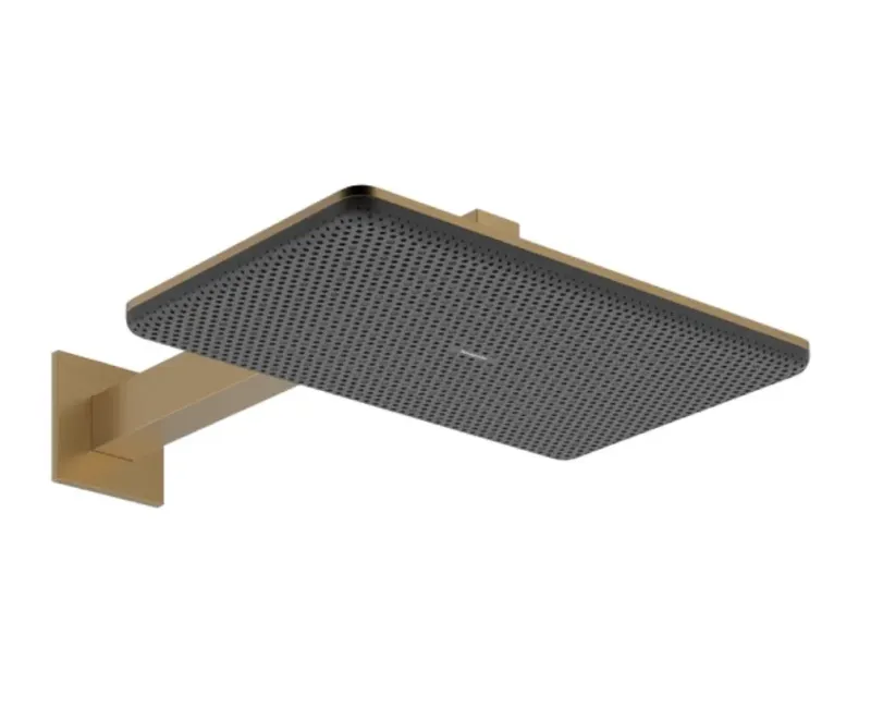 Dušas galva Hansgrohe Raindance Alive Q, 21x34 cm, 2 režīmi, EcoSmart, matēta bronza, 24551140 NEW