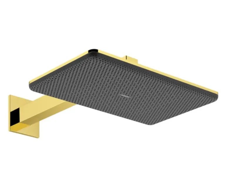 Душевая голова Hansgrohe Raindance Alive Q, 21x34 см, 2 режима, EcoSmart, полированный золото, 24551990