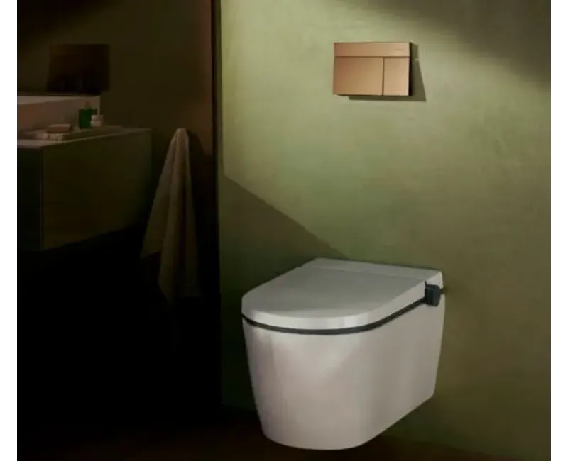 Poga iebūvējamajam rāmim Hansgrohe iFrame Element E, matēta bronza, 66003140 NEW