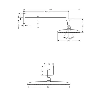 Dušas galva Hansgrohe Raindance New, ar kronšteinu 39 cm, hroms, 27376000 NEW