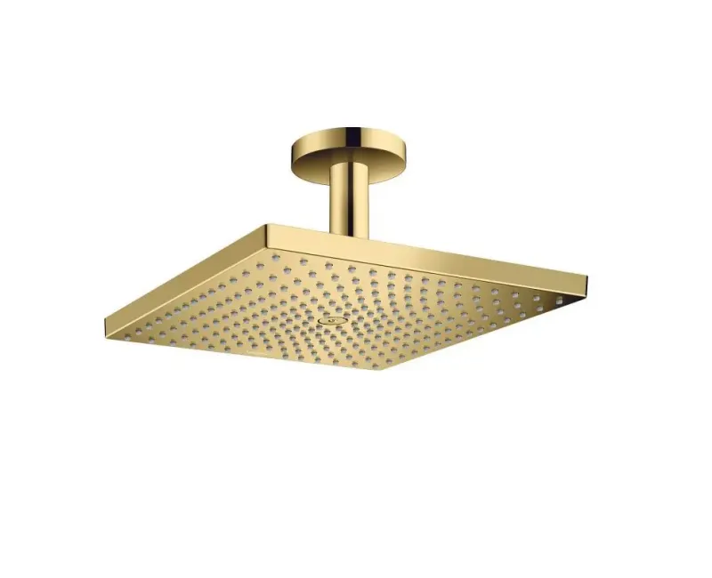 Душевая голова Hansgrohe Raindance E, 300 Air, полированный золото, 26250990