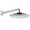 Dušo galva Hansgrohe Raindance Select S 300 2jet, chromas 27378000